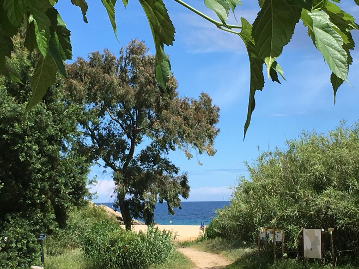 Le Clos Des Sept Palmiers キャバレール・シュル・メール エクステリア 写真